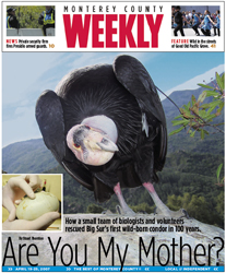 Monterey County Weekly - The Littlest Condor