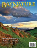 Bay Nature Magazine