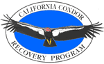 Condor Recovery Program