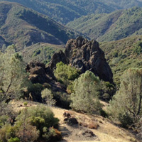 Los Padres National Forest