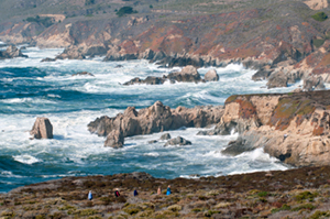 Garrapata State Park - Photo by Stan Russell