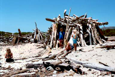 Andrew Molera Beach  Photo; Stan Russell