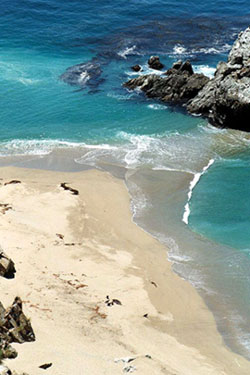 Near Julia Pfeiffer Burns State Park