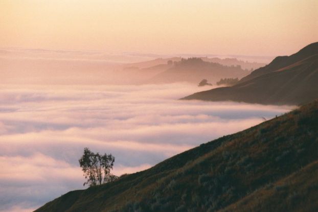 Big Sur Fog Bank